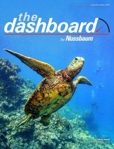 The Dashboard by Nussbaum