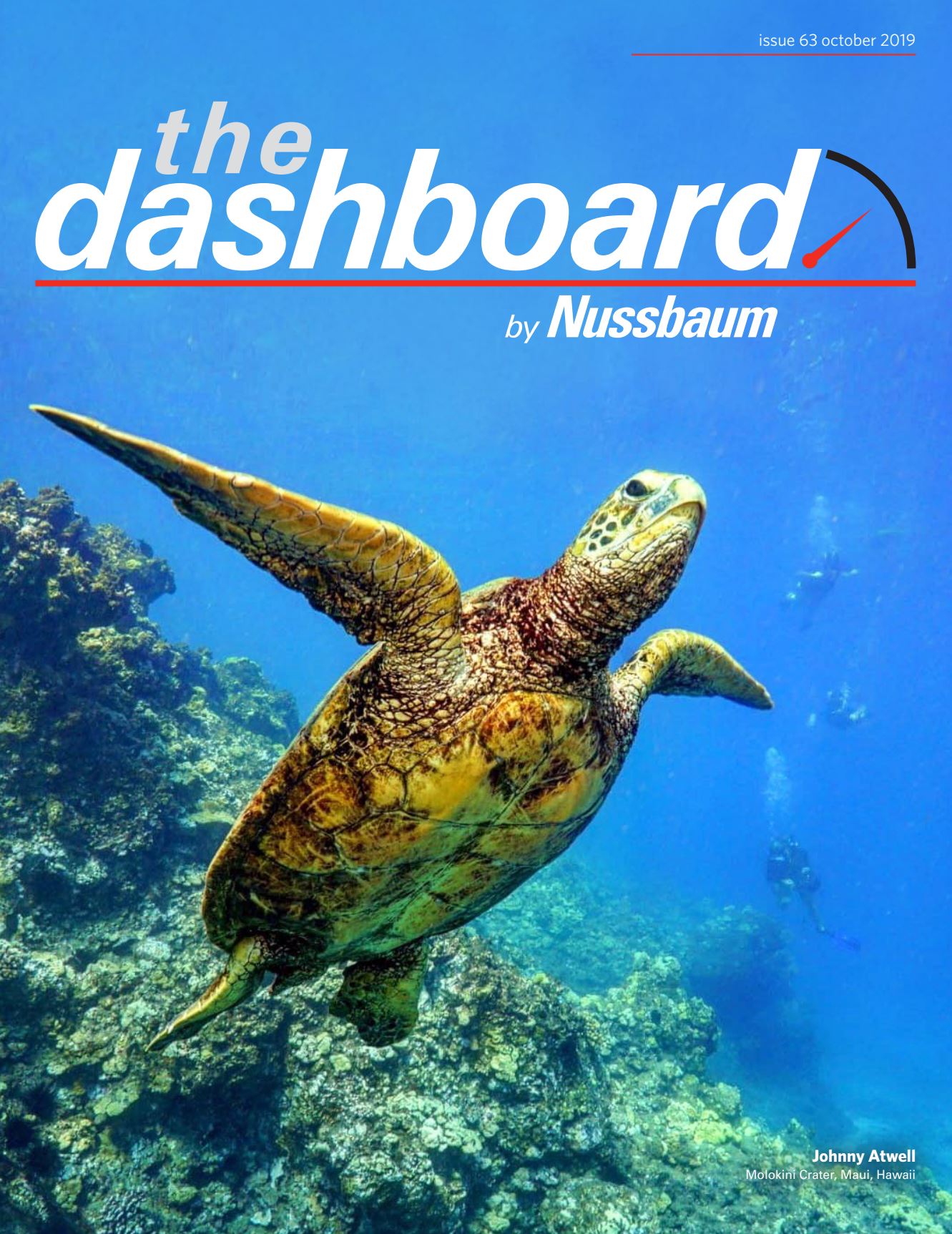 The Dashboard by Nussbaum